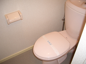 ラフォーレダイゴB棟