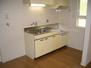 ラフォーレダイゴB棟